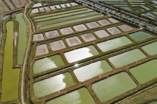 Geomembrane Usage 4