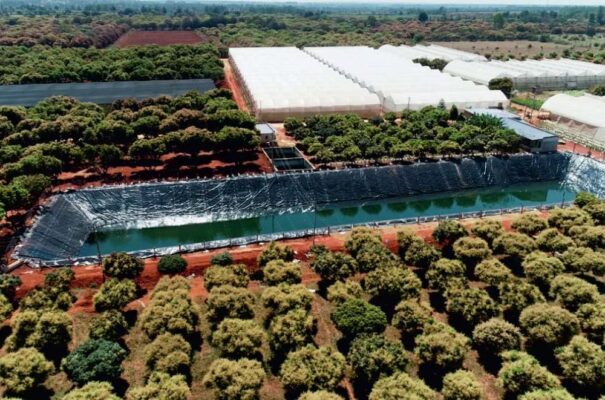 Geomembrane Usage