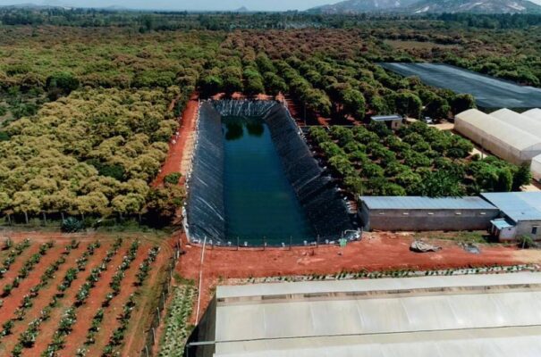 Geomembrane 04